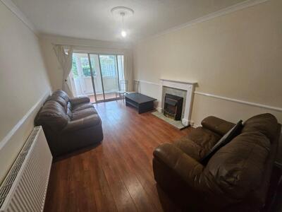 Picture 7